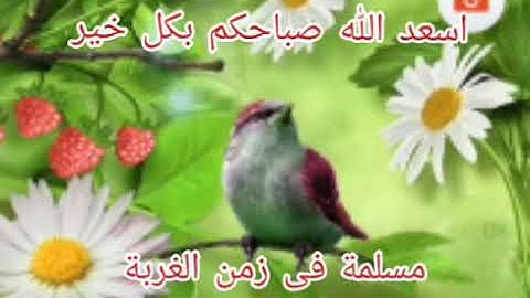 اذكار الصباح اسعد الله صباحكم بكل خير