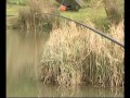 IYCF Target baits