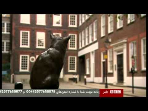 رفتار غیر حرفه ای مجریان بی بی سی Unprofessional Conduct On The BBC