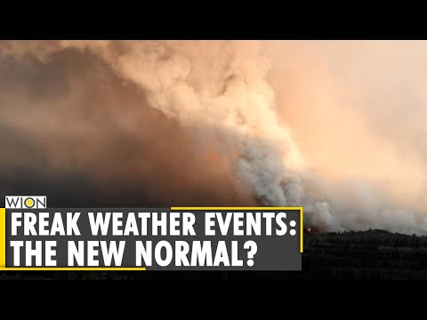 WION Climate Tracker: Climate Catastrophe looms over the world | World News | English News