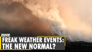 WION Climate Tracker: Climate Catastrophe looms over the world | World News | English News screenshot 5