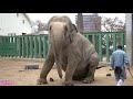 2018.11.12 ズゼのトレーニング