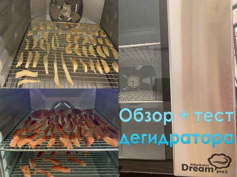 Дегидратор Rewmid dream pro 2. Обзор + тест