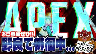 たぬきの【#apex 】ガンダムコラボで徘徊中　♫ #ギャンたま