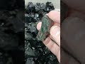 Velvet Obsidian Is the Next Mineral of the Month Club Entry! #gems #obsidian #rocks #crystals
