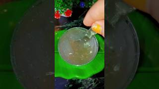 chia seeds drink 🍻#chia seeds #@Nilu.home.kitchen