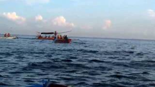 DV- Bali Dolphin Searching (Lovina Beach)