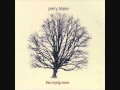 Miniature de la vidéo de la chanson Blue Sky Falling