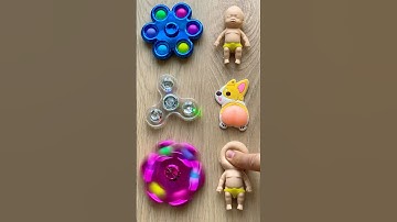 Squishy Corgi Fidgets Fun! #satisfying #squishy #corgi #fidget #funny #shorts