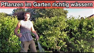 Garten Pflanzen Richtig Bewässern Pflanzen Im Garten Richtig Gießen Anleitung Tipps Tricks