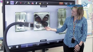 Neo Touch Interactive Panel sample ad 1