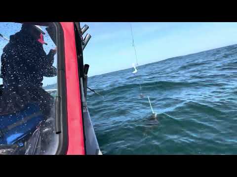 Westport halibut fishing