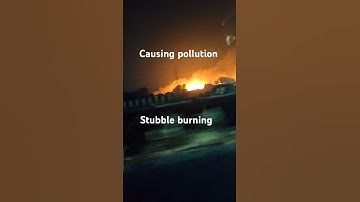 Stop stubble burning save environment. #pollution #stubbleburning #airpollution