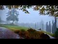 2H Virtual Walk In Heavy Rain - Burnaby Mountain Fade To Black
