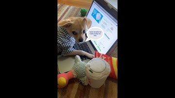 Tutorial of Shop.benco.com