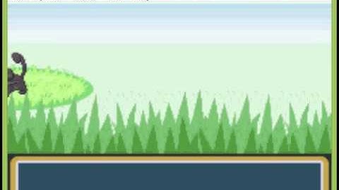 Pokemon fire red infinite pp