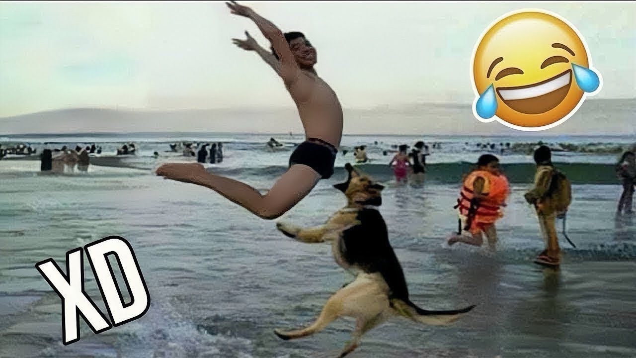 SI TE RÍES PIERDES NIVEL DIOS 😂🤣 [999.99 IMPOSIBLE NO REÍRSE] 🤯 Videos De Risa Muy Graciosos