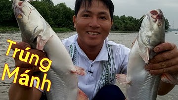 Giăng Câu Mồi Xoài Chín / Dính Cá Hú Đã Quá / Săn Bắt Đồng Tháp / Kiềm Rapper #62