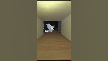 Seagull Chase in Liminal Hotel Nextbot Gmod