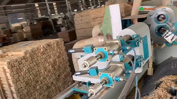 Máy tiện gỗ Cnc 2 trục làm việc đồng Woodmaster