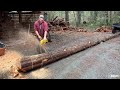 Skidding, Bucking, Hand splitting, firewood