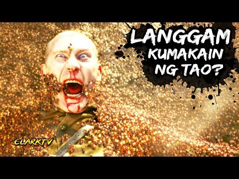 Video: Bakit Nangangarap Ang Mga Langgam