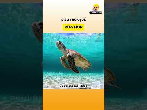 Điều thú vị