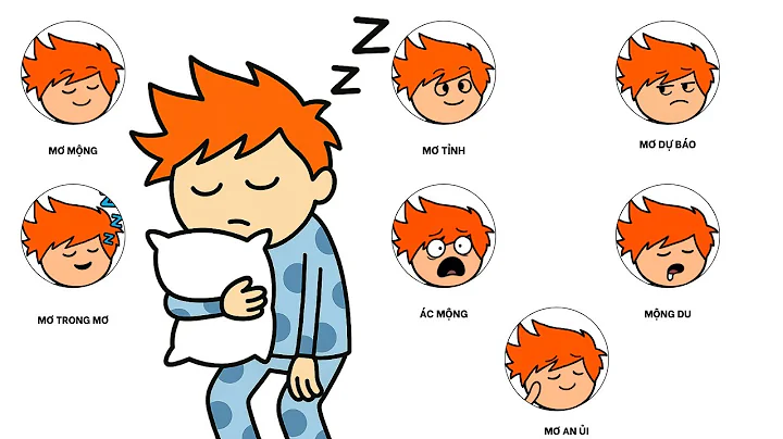 Những Kiểu Giấc Mơ Ai Cũng Từng Gặp Trong Đời (Phần 1)