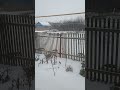 Ваз-2107 сдаëт назад и уезжает в и уезжает вперëд, Самарская область, Шигонакий Район село Усолье
