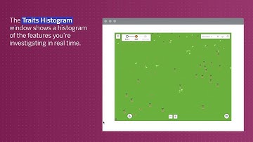 Amplify - Natural Selection - 1.4  - Simulation video