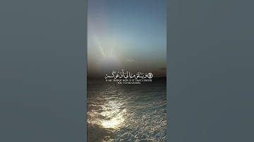 #ارح_قلبك #اكسبلور #راحة_نفسية #قرآن #تلاوة_خاشعة #ارح_سمعك #لايك #حالات_واتس