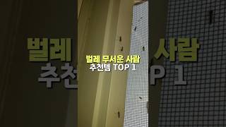 벌레 무서운사람 필수 시청! 벌레퇴치 추천템 #벌레퇴치 #벌레차단 #창문틈새 #shorts  #꿀템