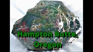 Hampton Butte - Green Petrified Wood - Oregon Rockhounding