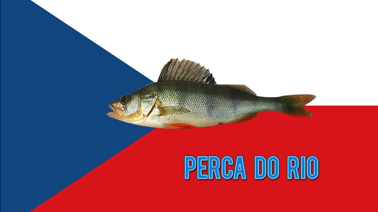 Perca Do Rio Fishing Plant - Pegue Um Perca Do Rio - Lesni Vila #01 - YouTube