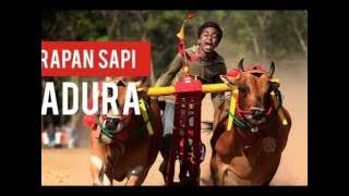 Kembang Malate Pote [Versi Original] - Lagu Daerah Madura - Jawa Timur - Indonesia