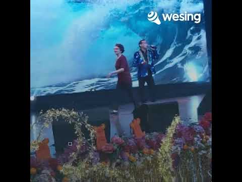 小小羊儿要回家