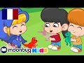 Morphle et les dinosaures en jouet! | MORPHLE | Vidéos Pour Enfants | Moonbug en Français