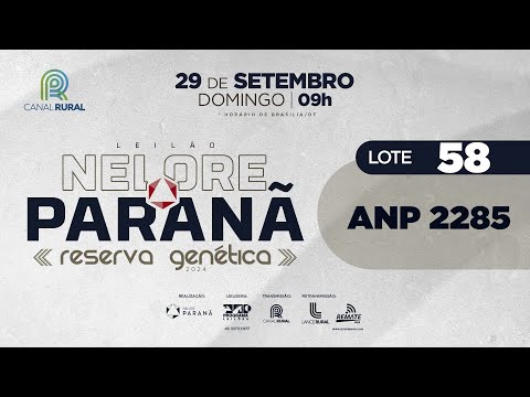 LOTE 58 ANP 2285