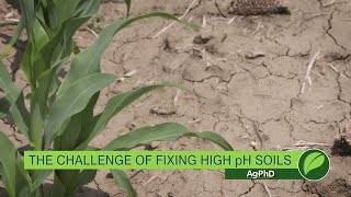 Fixing High pH Soils #1015 (Air Date 9-17-17)