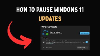 How To Pause Windows 11 Updates