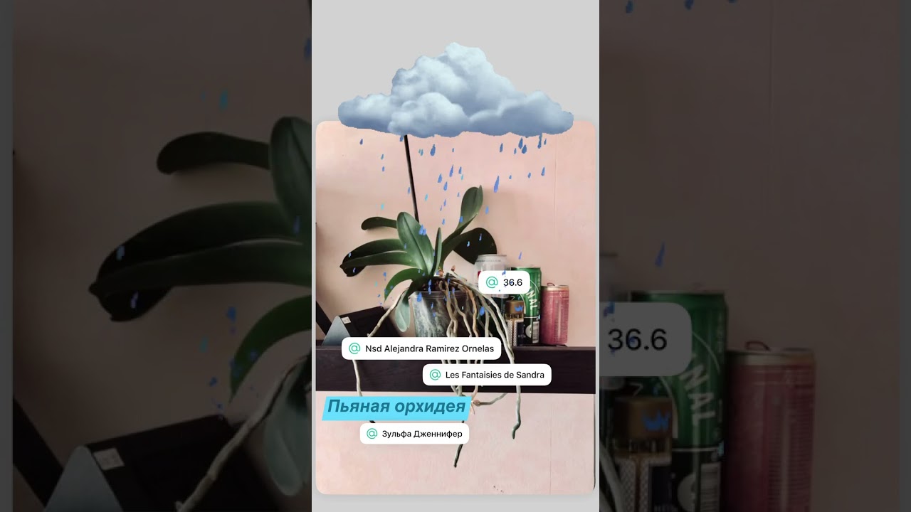 21 августа 2025 г.