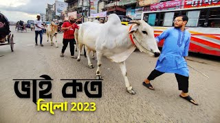 Bhai koto nilo 2023 । Vai koto nilo 2023 । Gabtoli Gorur haat 2023 Gorur Dam part 26