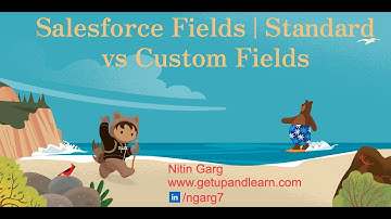 Salesforce Fields | Standard vs Custom Fields