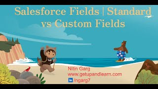 Celebrity Salesforce Fields | Standard vs Custom Fields Profile