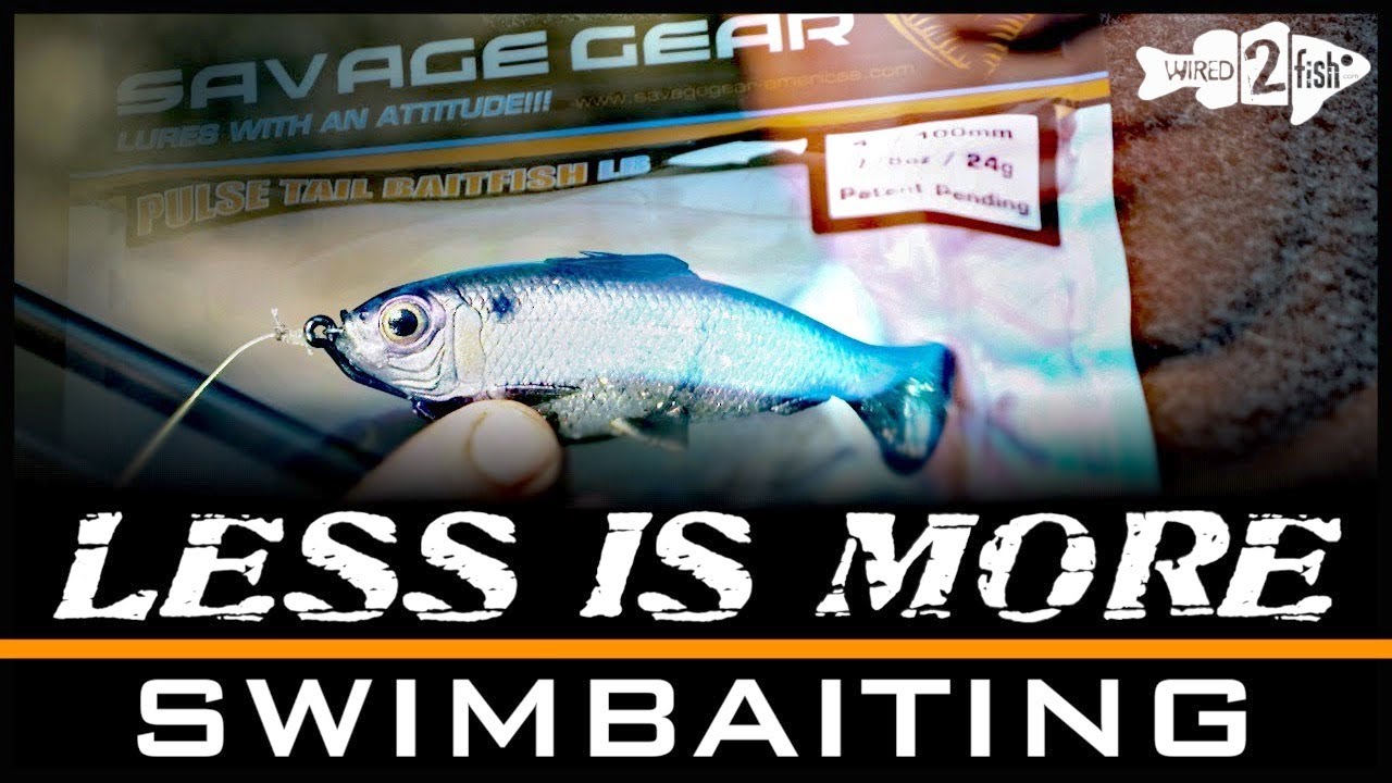 Savage Gear Pulse Tail Shiner LB - Pro Series I Swimbait - Amazing Act –  Blue Springs Bait & Tackle