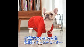 ドッグウェア 犬服 猫服 秋服 子犬 超小型犬 小型犬服 ニット ナチュラル