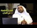الشجرة الملعونة في القرآن حسن فرحان المالكي
