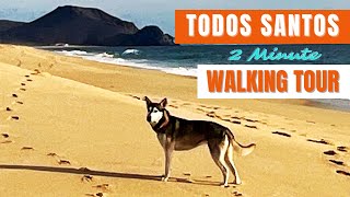 Walking Tour North Todos Santos