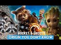 Rocket &amp; Groot Origin You Don&#39;t Know! | MCU Never Cared To Explain
