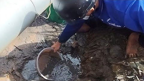 TA67 |||| bắt cá cạn (T17) 